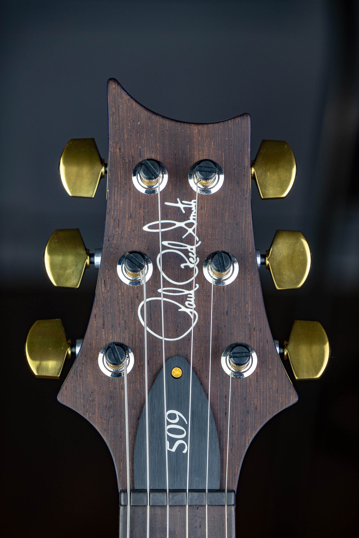PRS 509 Wood Library 2022 Violet Blue Burst
