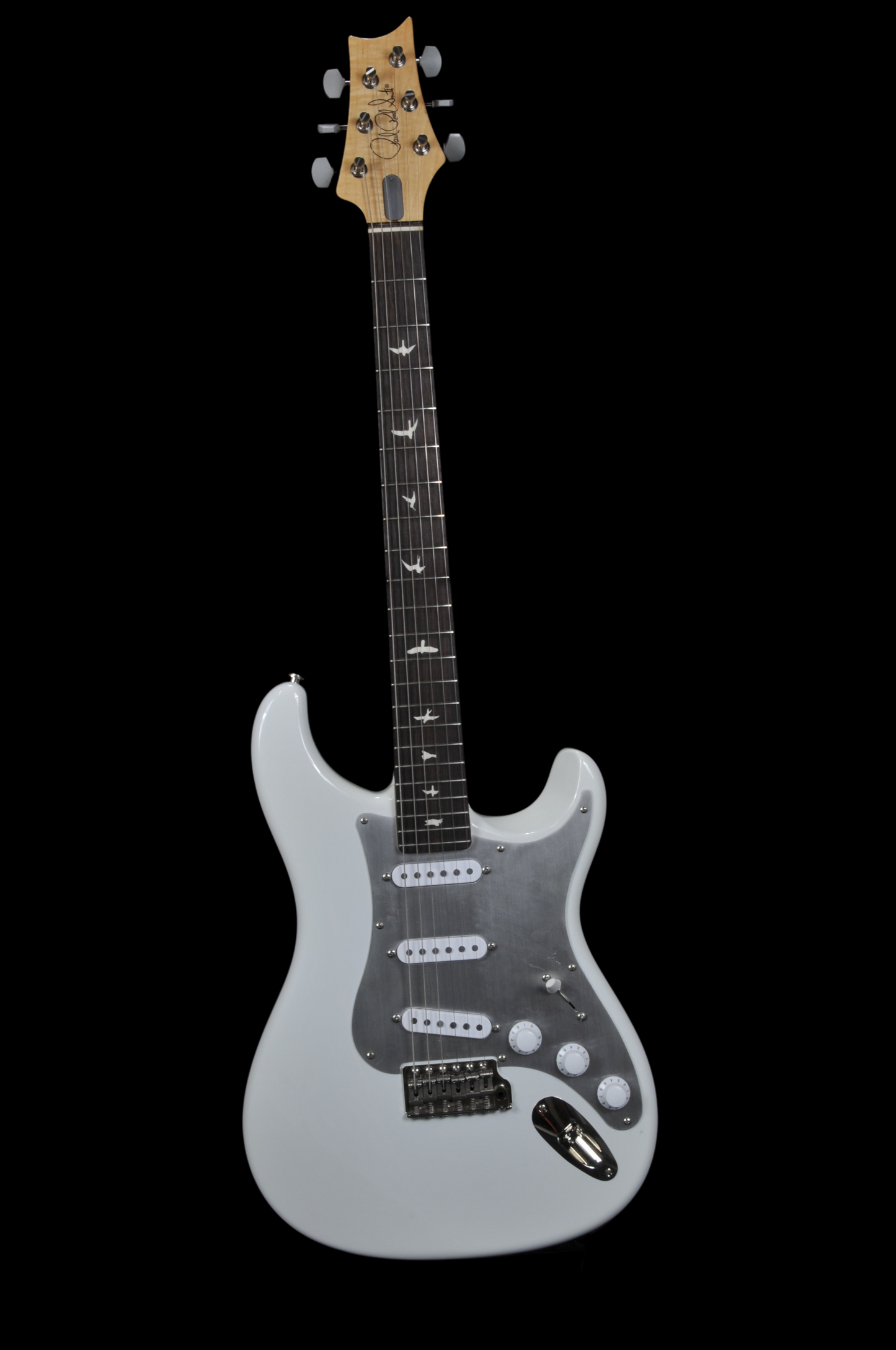 Paul Reed Smith Silver Sky Frost w/Aluminum Pick-Guard 2020